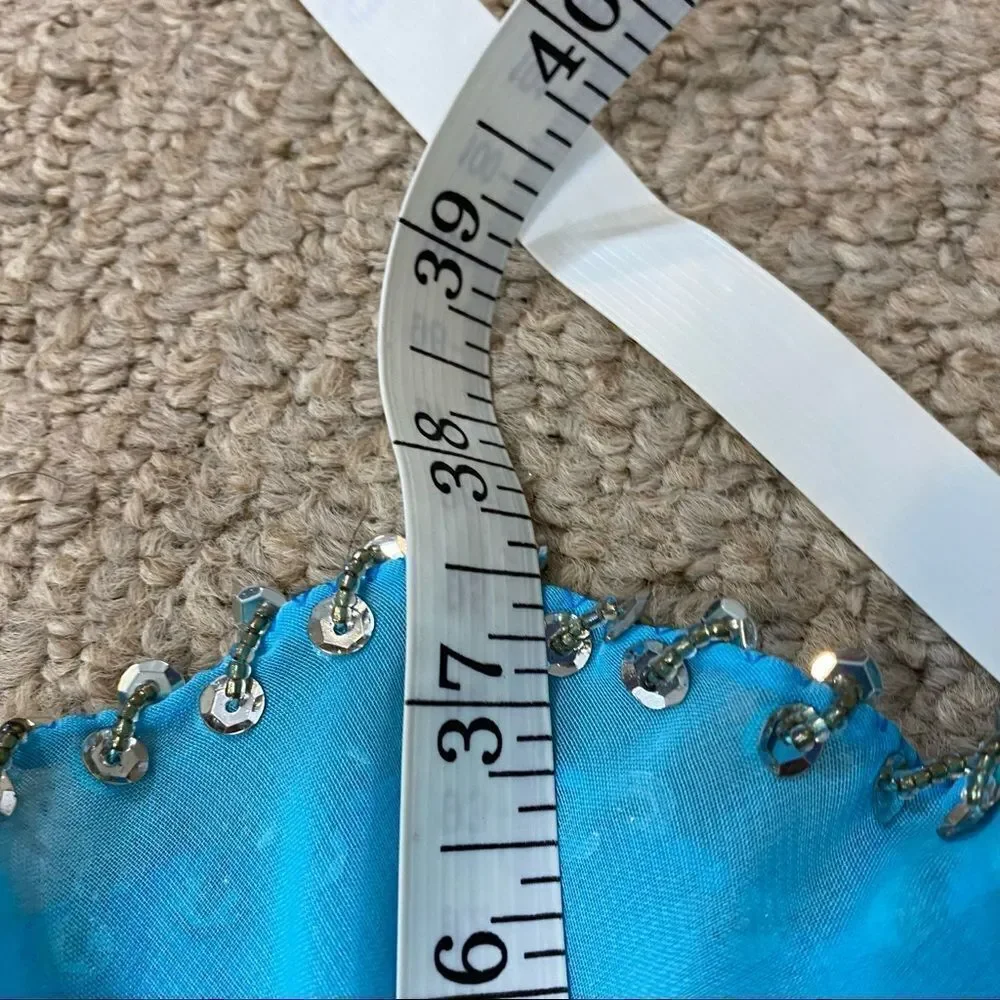 One of a Kind Sheer Belly Dancing‎ Skirt One Size